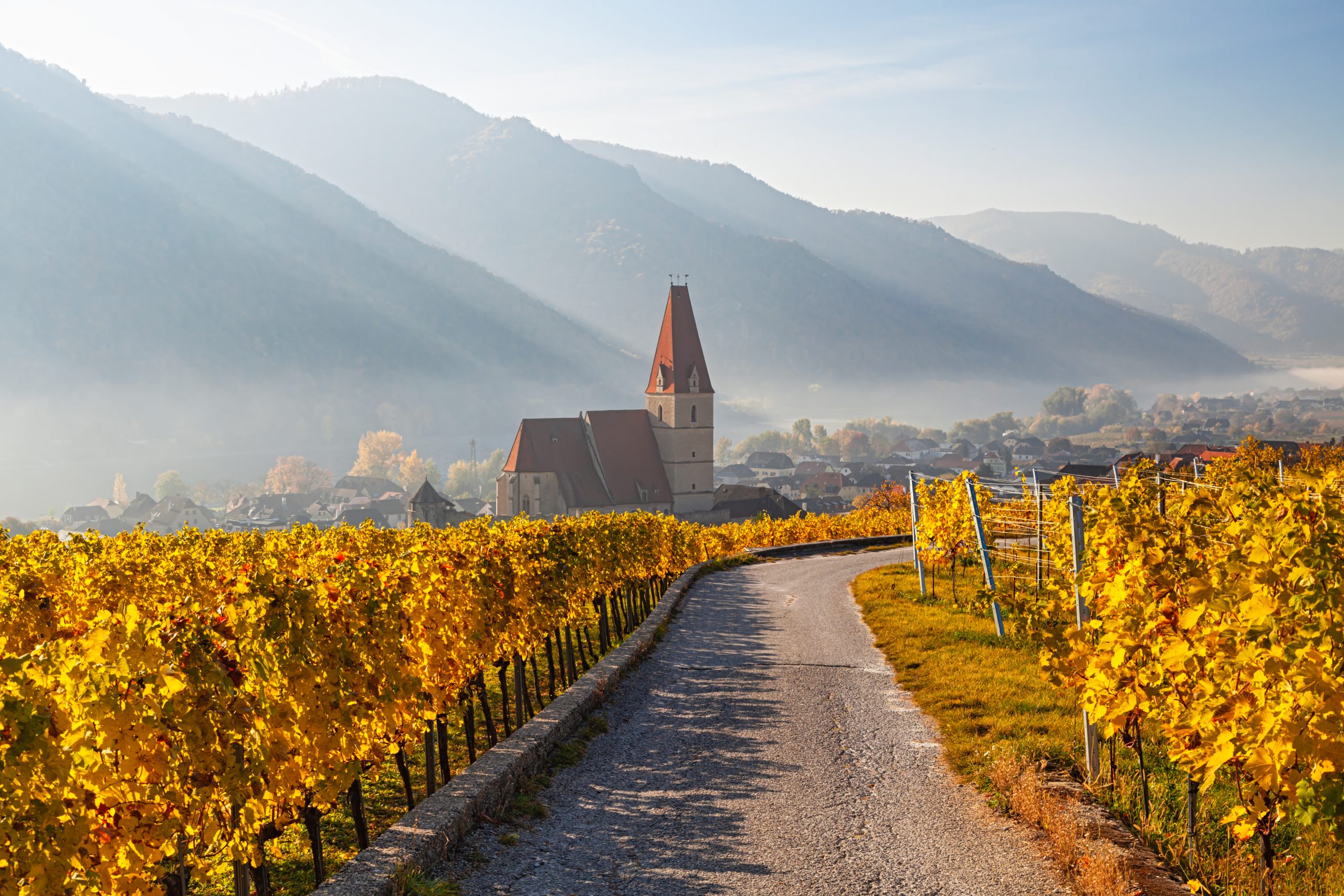 Weinlandschaft